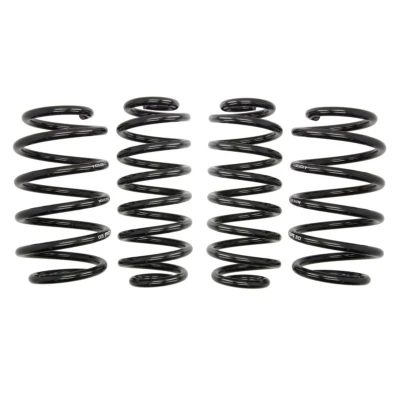 Imagem de EIBACH Pro Kit E10 85 016 08 22 de suspensão, molas VOLKSWAGEN: CC