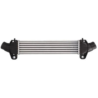 Imagem de THERMOTEC DAG009TT Intercooler Alumínio, Plástico 412 X 91 85 mm