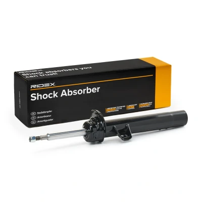 Imagem de SACHS 313 255 Amortecedor à direita Pressão do gás Tubo duplo com assento de mola cavilha em cima BMW: 1 Hatchback, Cabrio, Coupe