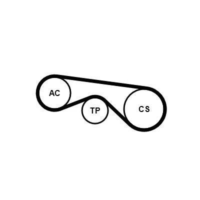 Imagem de CONTITECH 5PK890K3 Jogo de correias trapezoidais estriadas BMW: 5 Sedan, 3 Cabrio, Sedan