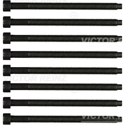 Imagem de REINZ 14 32121 02 Jogo de Parafusos da Cabeçote Estriado interior SEAT: Ibiza 3, 4 Sportcoupe, 4, VOLKSWAGEN: Polo III Hatchback