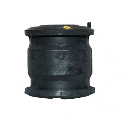 Imagem de CTR GV0429 Casquilho de Braço Suspensão Eixo traseiro SUBARU: Forester I, Impreza II Sedan