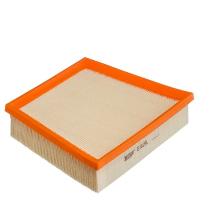 Imagem de HENGST FILTER E1629L Filtro de ar 50 192 255 Cartucho filtrante JAGUAR: