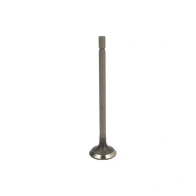 Imagem de Válvula de saída FRECCIA R6890/BMNT