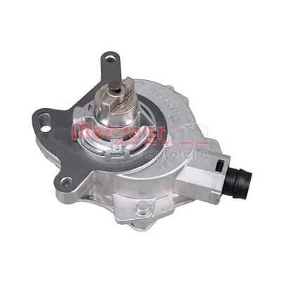 Imagem de METZGER 8010098 Bomba de Vácuo sem junta FORD: S Max Mk1