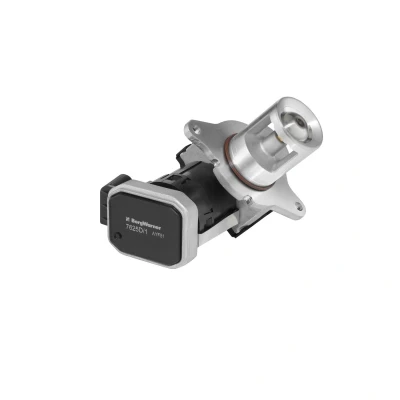 Imagem de Válvula EGR WAHLER 7625D/1