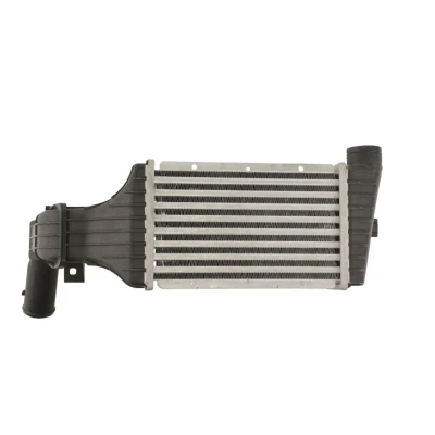 Imagem de THERMOTEC DAX001TT Intercooler OPEL: Astra G Caravan, Van, CC