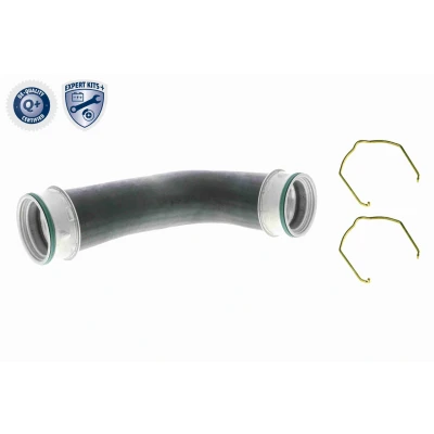 Imagem de VAICO V10 5309 Mangueira Para o Turbocompressor Borracha com entretela grampo AUDI: A3 Hatchback, Sportback, VOLKSWAGEN: Golf 5