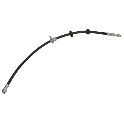 Imagem de Tubo flexível de travão DELPHI LH8089