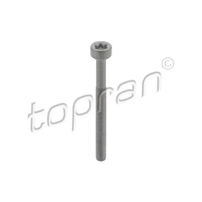 Imagem de TOPRAN 410 287 Parafuso, suporte de injector