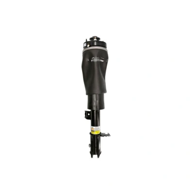 Imagem de Arnott AS 2796 Elemento de suspensão pneumática à frente, lado esquerdo LAND ROVER: Range Rover 3