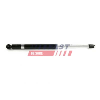 Imagem de FAST FT11176 Amortecedor FORD: FIESTA 6, Tourneo Courier