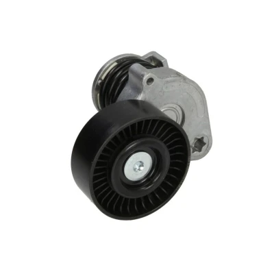 Imagem de BTA E3M0006BTA Tensor da Correia MERCEDES BENZ: Sprinter 3.5 T Van, Classe C modell, E modell