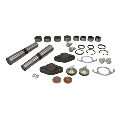 Imagem de Kit de reparação, pivô do munhão eixo AUGER 55752