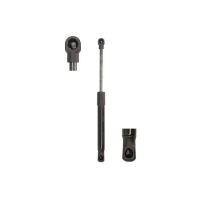 Imagem de Mola de ar, compartimento bagagem/carga MAGNUM TECHNOLOGY MGS0033