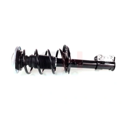 Imagem de GH 354193C01 Conjunto mola/amortecedor