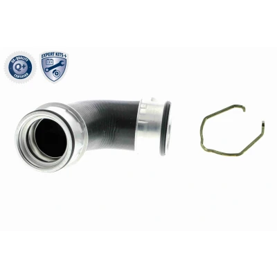 Imagem de VAICO V10 5306 Mangueira Para o Turbocompressor Borracha com entretela grampo AUDI: A3 Hatchback, Sportback, VOLKSWAGEN: Golf 5