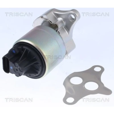 Imagem de TRISCAN 8813 21001 Válvula EGR elétrico com juntas CHEVROLET: Aveo / Kalos Hatchback