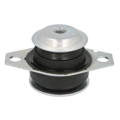 Imagem de Suporte, motor REINHOCH RH11 1009 Links