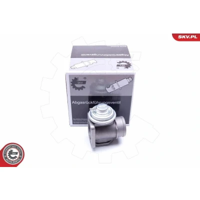 Imagem de ESEN SKV 14SKV174 Válvula EGR pneumático BMW: 5 Sedan, 3 OPEL: Omega B Caravan