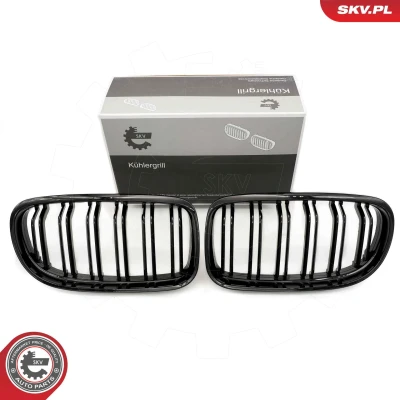 Imagem de ESEN SKV 66SKV099 Grelha de Radiador brilhante, preto BMW: 3 Coupe