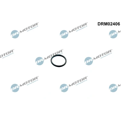 Imagem de DR.MOTOR AUTOMOTIVE DRM02406 Retentor