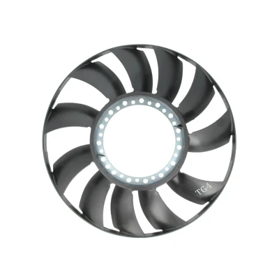 Imagem de THERMOTEC D9W001TT Ventoinha do ventilador, refrigeração motor AUDI: A4 B5 Avant, Sedan, B6 VOLKSWAGEN: Passat GP Sedan