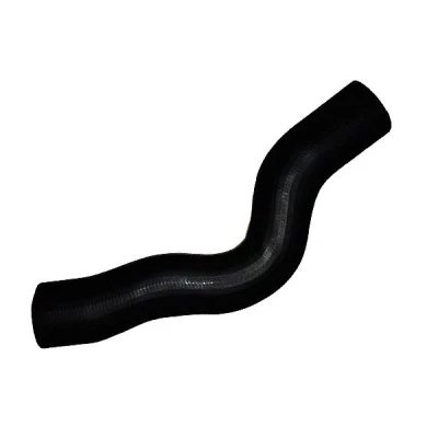 Imagem de BUGIAD 88629 Mangueira Para o Turbocompressor 58 RENAULT: MASTER 2 Kasten