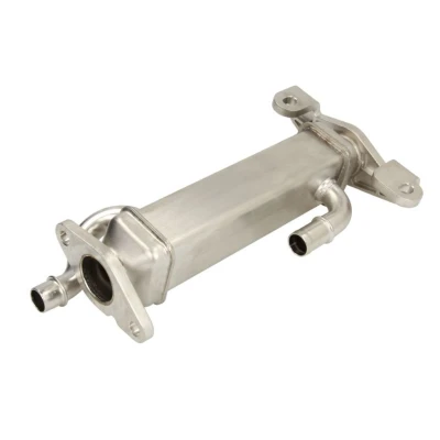 Imagem de NRF 48455 Módulo RGE (recirculação dos gases de escape)