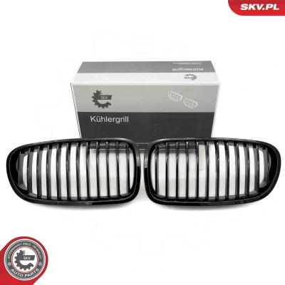 Imagem de ESEN SKV 66SKV179 Grelha de Radiador brilhante, preto BMW: 5 Sedan, Touring