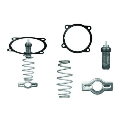Imagem de MAHLE ORIGINAL TX 51 79D Termóstato, líquido de refrigeração 79 com junta IVECO: Stralis