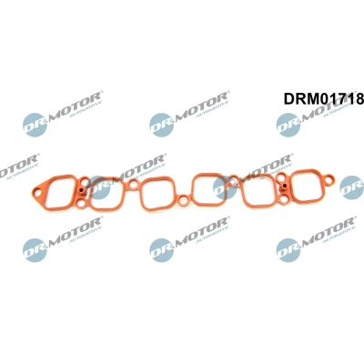 Imagem de DR.MOTOR AUTOMOTIVE DRM01718 Junta de Coletor Admissão AUDI: A3 Hatchback, TT Coupe, Sportback, VOLKSWAGEN: Golf 5, 4, Transporter 5