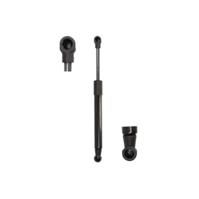 Imagem de Mola de ar, compartimento bagagem/carga MAGNUM TECHNOLOGY MGS4008