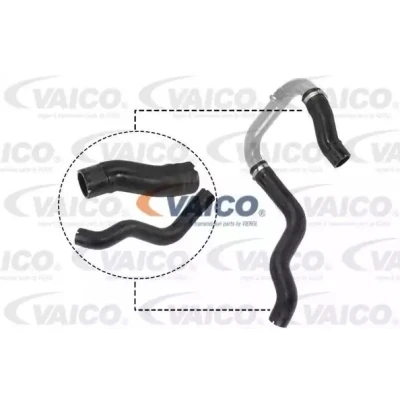 Imagem de VAICO V24 0731 Mangueira Para o Turbocompressor Borracha com entretela EXPERT KITS + FIAT: Grande Punto Hatchback, Evo Hatchback