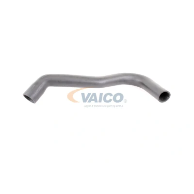 Imagem de VAICO V25 0943 Mangueira Para o Turbocompressor Borracha com entretela Original Quality FORD: Transit Mk5 Van, Minibus