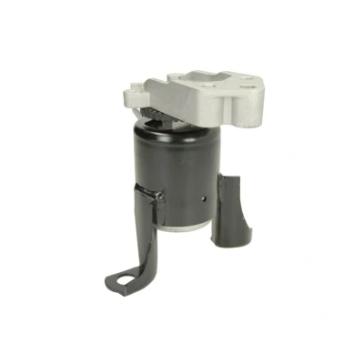 Imagem de REINHOCH RH11 4056 Suporte, motor à direita Apoio hidráulico FORD: FIESTA 6, B Max