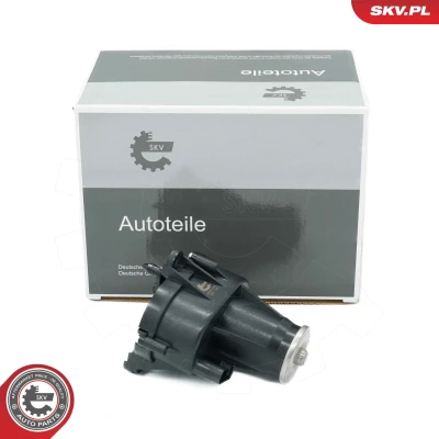 Imagem de ESEN SKV 96SKV239 Elemento de ajuste, borboletas (colector admissão) BMW: 5 GT, 1 Hatchback