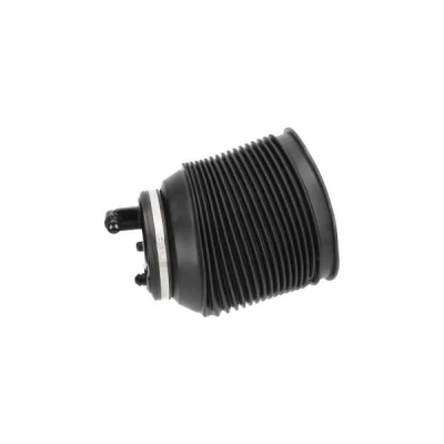 Imagem de KAVO PARTS SAS 10016 Mola pneumática, chassis Eixo traseiro esquerdo