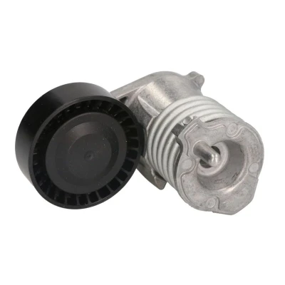 Imagem de SNR GA365.39 Polia Tensora FORD: Focus 2, VOLVO: V50
