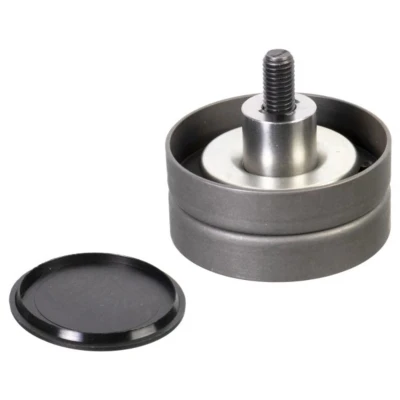Imagem de FEBI BILSTEIN 173072 Polia de Desvio com capa