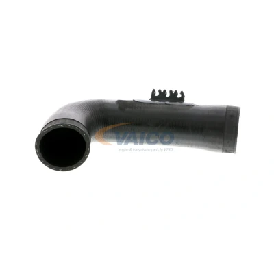 Imagem de VAICO V10 3771 Mangueira Para o Turbocompressor Borracha com entretela Q+, original equipment manufacturer quality