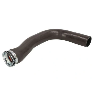 Imagem de Mangueira de ar reforço THERMOTEC DCR220TT