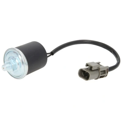 Imagem de FAE 14130 Sensor 1/8x28 BSP