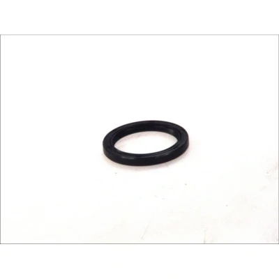 Imagem de REINZ 81 53277 00 Retentor de Cambota MVQ (borracha silicone) FORD: FIESTA 6, MAZDA: 323 F 6