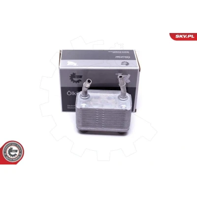 Imagem de ESEN SKV 31SKV220 Radiador de Óleo Eixo dianteiro com junta BMW: X5