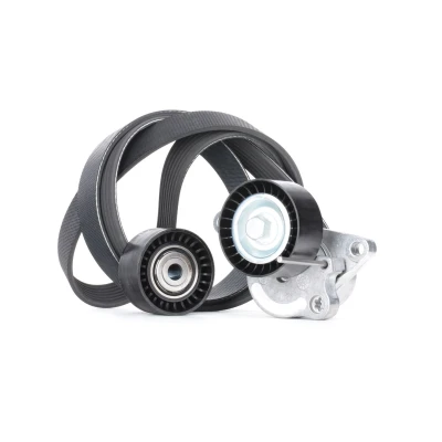Imagem de GATES K017PK1705 Jogo de correias trapezoidais estriadas ThermalPro RENAULT: MEGANE 3 Grandtour, Coupe, 2 Kombi