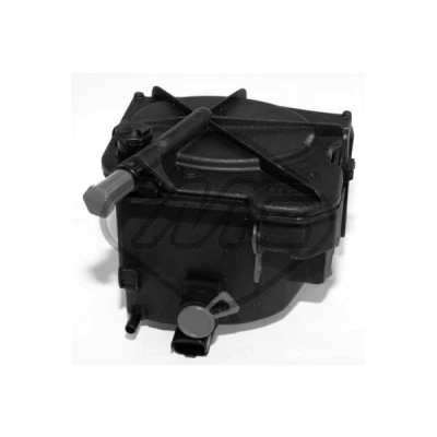 Imagem de Metalcaucho 05392 Filtro de Combustível dos tubos PEUGEOT: 206 Hatchback, Partner II Van, 207 CITROËN: C3 I Hatchback