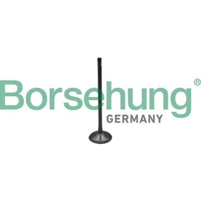 Imagem de Borsehung B10323 Válvula de Admissão