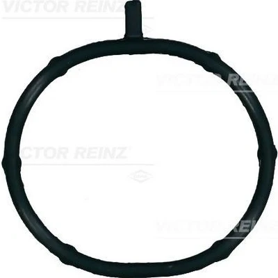 Imagem de REINZ 71 15700 00 Junta de Coletor Admissão FPM (borracha flúor) KIA: Pro cee‘d II Hatchback