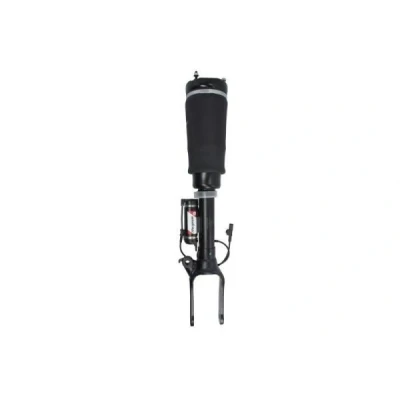 Imagem de Magnum Technology APM008MT Elemento de suspensão pneumática à frente MERCEDES BENZ: Classe R